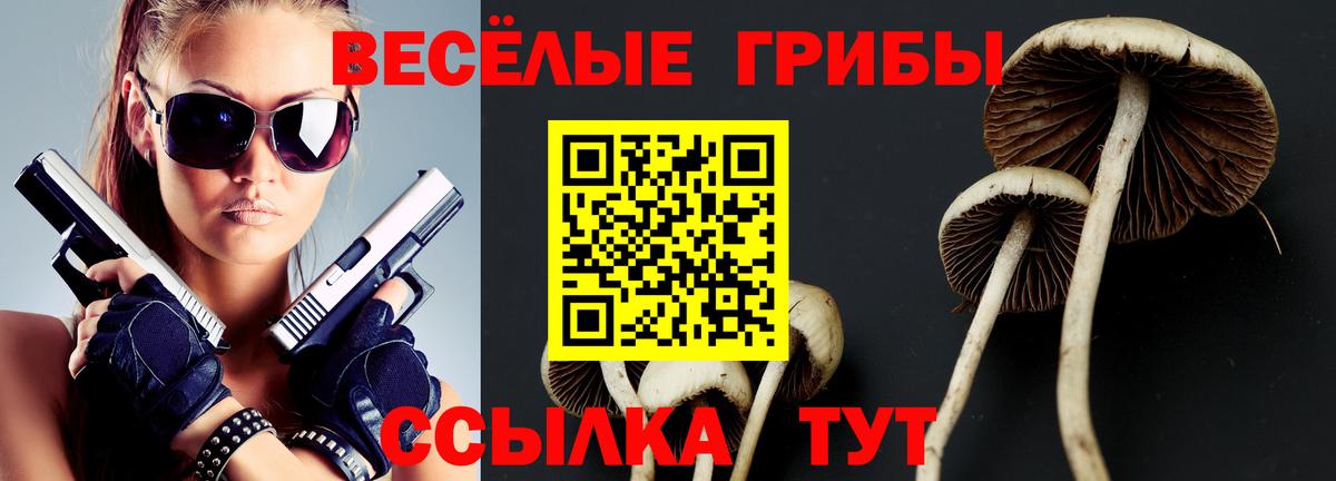 Ржев  Галлюциногенные грибы мицелий  Вход с VPN 